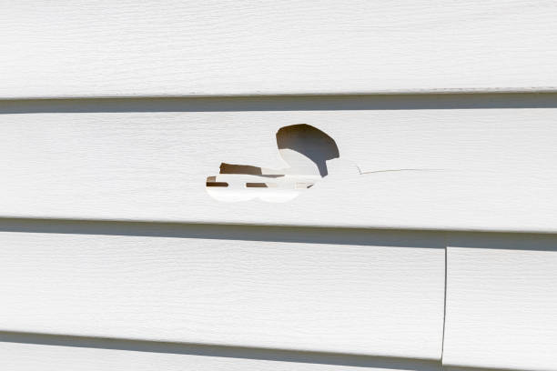 Affordable Siding Repair and Maintenance Services in West Carthage, NY